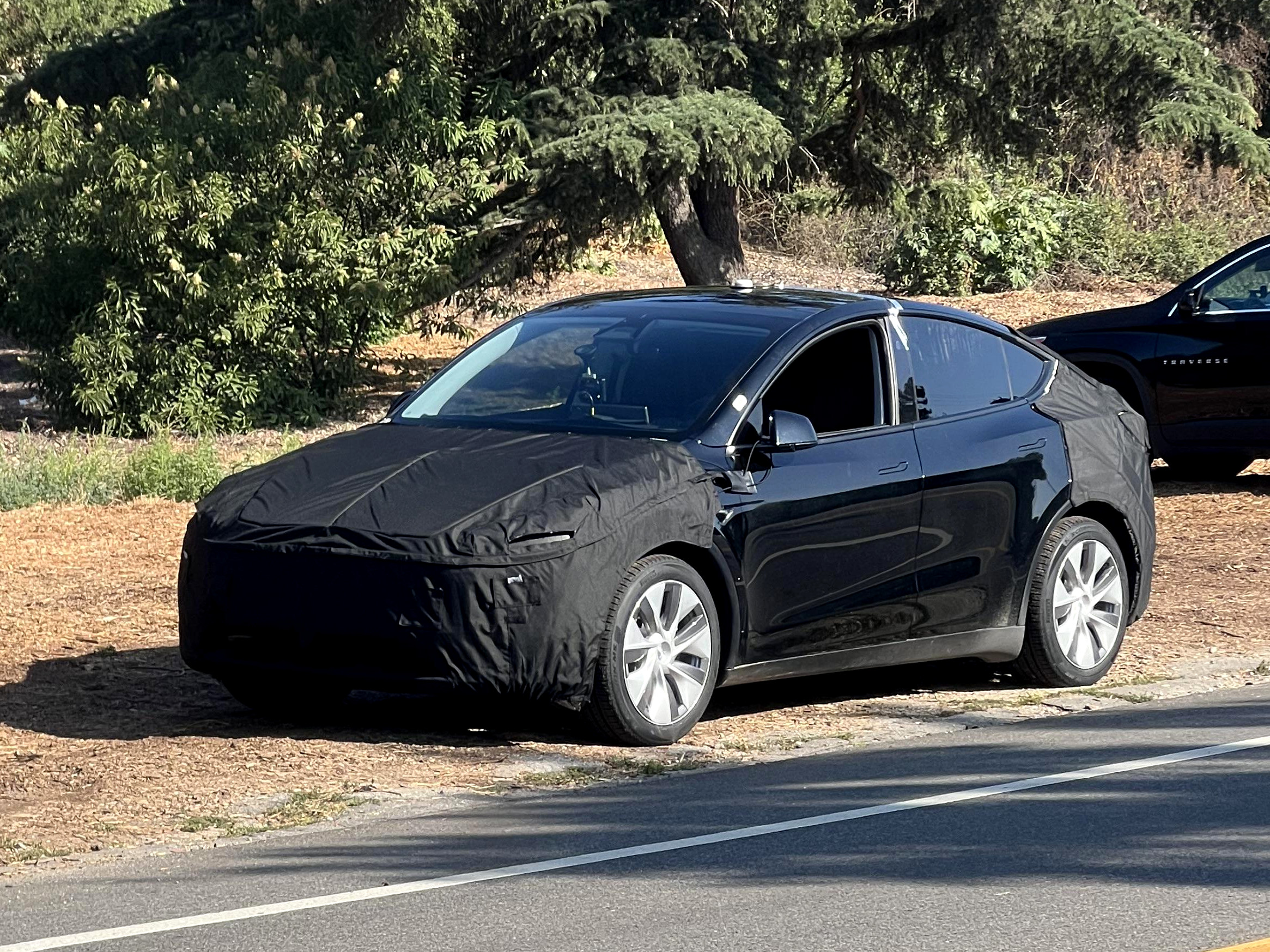 El Primer Avistamiento Del Refresco Juniper Del Tesla Model Y Revela