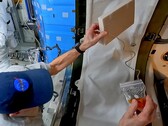 El YouTuber científico Steve Mould ha vuelto a visitar el efecto de la fuente en cadena que descubrió - esta vez a bordo de la ISS, con la ayuda del astronauta Don Pettit. (Fuente de la imagen: Steven Mould)