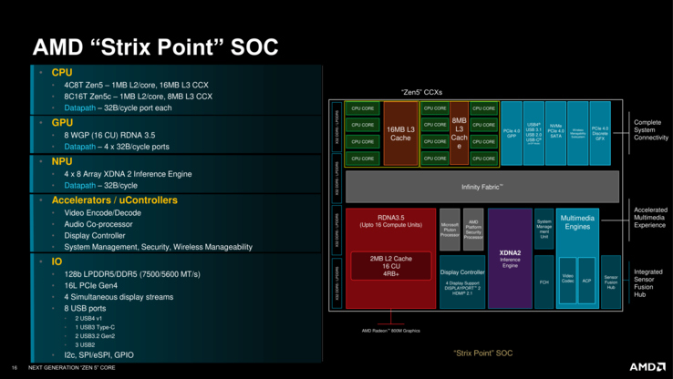 Visión general de Ryzen AI 300 (fuente: AMD)