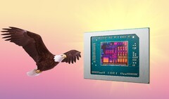 AMD Bald Eagle Point, si no se desecha, podría salir a la venta el año que viene. (Fuente de la imagen: AMD, FlashBuddy, editado)