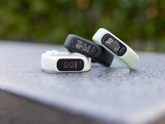 Garmin ha lanzado una nueva actualización de firmware para el Vivosmart 5. (Fuente de la imagen: Garmin)