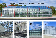 Se utilizaron cuatro habitaciones separadas con distintos grados de cobertura con paneles solares transparentes. (Fuente de la imagen: Universidad Murdoch)