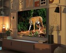 Los televisores mini LED Fire TV Omni de Amazon tienen un sensor de luz que ajusta automáticamente la calidad de la imagen en función de la luz ambiente. (Fuente de la imagen: Amazon)