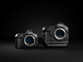 Canon EOS R5 Mark II (izquierda) y la R1 (derecha) (Fuente: Canon)