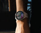 Garmin ya está investigando los problemas notificados que, al parecer, afectan a la versión estable 21.19. (Fuente de la imagen: Garmin)