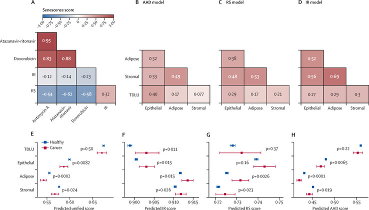 Clasificación de tejidos y futuro diagnóstico del cáncer. (Fuente de la imagen: The Lancet Digital Health)