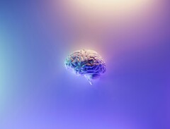 Nano-MIND utiliza diminutas partículas magnéticas que se inyectan en regiones cerebrales específicas. (Fuente de la imagen: Milad Fakurian / Unsplash)