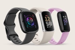 Google ha trabajado duro para evitar que los productos de Fitbit canibalicen las ventas del Pixel Watch (Fuente de la imagen: Fitbit)