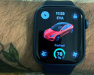 La aplicación Apple Watch de Tesla ya cuenta con algunas funciones básicas (Fuente de la imagen: Ryan Anderson/X)