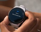 Algunos smartwatches Garmin Forerunner están recibiendo la actualización beta de la versión 21.16. (Fuente de la imagen: Garmin)