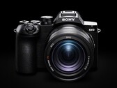 La Sony RX10 V cuenta con un zoom óptico de 25x.