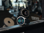 Garmin ha publicado más de 100 correcciones de errores en la Enduro 3, la Fenix E y la Fenix 8 desde su lanzamiento en verano. (Fuente de la imagen: Garmin)