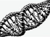 Una novedosa técnica de almacenamiento de ADN utiliza la "impresión" epigenética para aumentar la velocidad y reducir costes (Fuente de la imagen: DALL-E 3)