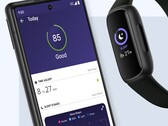 Un próximo Fitbit AI Sleep Lab podría unirse a las funciones existentes de seguimiento del sueño basadas en la aplicación (arriba). (Fuente de la imagen: Fitbit)