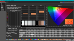 ColorChecker después de la calibración