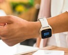 Se rumorea que se introducirán nuevos servicios de pago sin contacto en los smartwatches de Garmin. (Fuente de la imagen: Garmin)