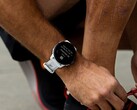 Garmin ha lanzado la versión beta 20.21 para el Forerunner 955. (Fuente de la imagen: Garmin)