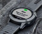 Garmin ha lanzado la versión beta 27.76 para el smartwatch Fenix 6. (Fuente de la imagen: Garmin)