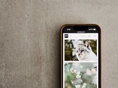 Un smartphone sobre una superficie gris con una galería de fotos de gatos y flores en la pantalla