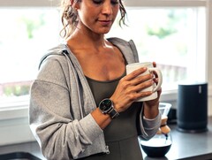 Los usuarios del smartwatch Amazfit han compartido sus comentarios sobre su experiencia de prueba del registro de alimentos. (Fuente de la imagen: Amazfit)