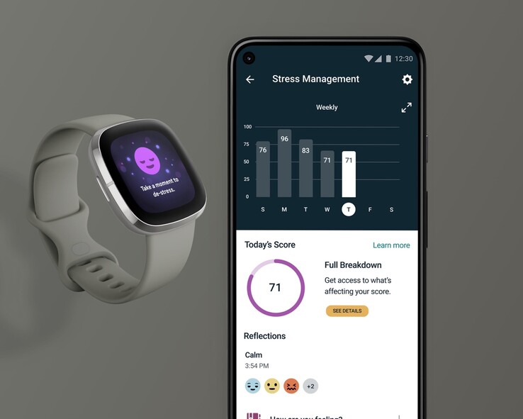 La antigua página de gestión del estrés de Fitbit. (Fuente de la imagen: Fitbit)