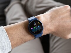 Se dice que la versión beta 13.17 de Garmin mejora la métrica de la batería corporal para algunos smartwatches. (Fuente de la imagen: Garmin)