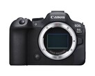 La predecesora de la Canon EOS R6 Mark III. (Fuente de la imagen: Canon)