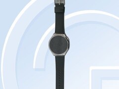 En diciembre se vio una imagen del smartwatch Honor con el número de modelo TUR-L19. (Fuente de la imagen: TENAA)