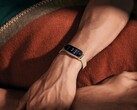 La Xiaomi Smart Band 9 ha sido presentada oficialmente. (Fuente de la imagen: Xiaomi)