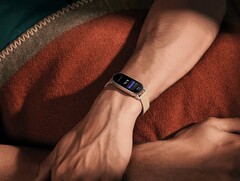 La Xiaomi Smart Band 9 ha sido presentada oficialmente. (Fuente de la imagen: Xiaomi)