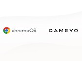 Google adquiere Cameyo (Fuente: Google Cloud Blog)