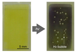 Se forman burbujas de H2 en el agua a la luz del sol. (Fuente de la imagen: JAIST)