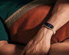 La Xiaomi Smart Band 9 ya está disponible en todo el mundo (Fuente de la imagen: Xiaomi)