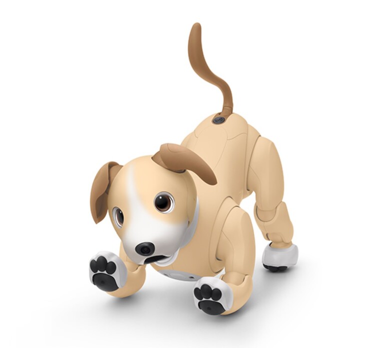 El Aibo Kinako Edition es un modelo de edición limitada para 2024, disponible sólo hasta agotar existencias. (Fuente de la imagen: Sony)