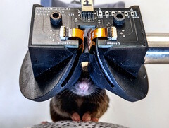 Investigadores de la Universidad de Cornell crean el prototipo de casco de RV 3D MouseGoggles Duo para ratones. (Fuente de la imagen: Universidad de Cornell)