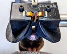 Investigadores de la Universidad de Cornell crean el prototipo de casco de RV 3D MouseGoggles Duo para ratones. (Fuente de la imagen: Universidad de Cornell)