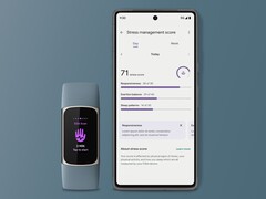 Fitbit ha lanzado una nueva página de puntuación de gestión del estrés para algunos usuarios. (Fuente de la imagen: Fitbit)