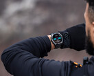 La serie Fenix 8 ya puede optar a su tercera actualización beta. (Fuente de la imagen: Garmin)