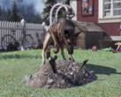 Según los informes, las mascotas de Fallout 76 podrán cultivar recursos para los jugadores de forma pasiva. (Fuente de la imagen: Game Rant)