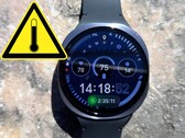 Samsung lanzó el Galaxy Watch 8 en julio de 2025.