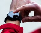 Ha llegado una nueva actualización beta para el reloj inteligente Garmin Forerunner 955. (Fuente de la imagen: Garmin)