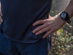 Garmin ha lanzado la versión de software 20.29 para el Forerunner 255. (Fuente de la imagen: Garmin)