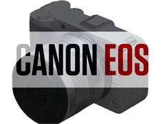 Imagen filtrada de la videocámara Canon EOS RV