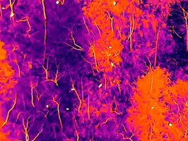 Lleva integrada una cámara termográfica.