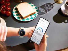 One UI 6 Watch ya se está desplegando en todos los smartwatches recientes de Samsung Galaxy Watch. (Fuente de la imagen: Samsung)