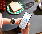 One UI 6 Watch ya se está desplegando en todos los smartwatches recientes de Samsung Galaxy Watch. (Fuente de la imagen: Samsung)