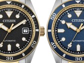 Citizen bicolor