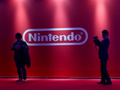 En palabras de Nintendo, "la introducción de emuladores creados para reproducir software de Nintendo copiado ilegalmente representa la mayor amenaza hasta la fecha para los derechos de propiedad intelectual de los desarrolladores de videojuegos". (Fuente de la imagen: Nintendo)