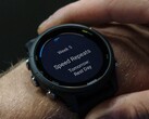 Garmin desplegará la versión beta 22.12 en varios smartwatches Forerunner. (Fuente de la imagen: Garmin)