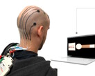 Unos investigadores desarrollan un método para imprimir en 3D tatuajes de EEG en la cabeza para el control remoto de dispositivos electrónicos. (Fuente de la imagen: Vasconcelos et al. en Cell Biomaterials)